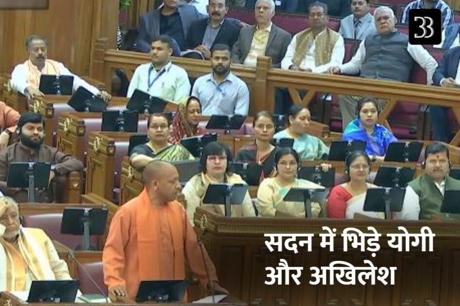 yogi