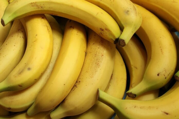 banana for bodybuilding
