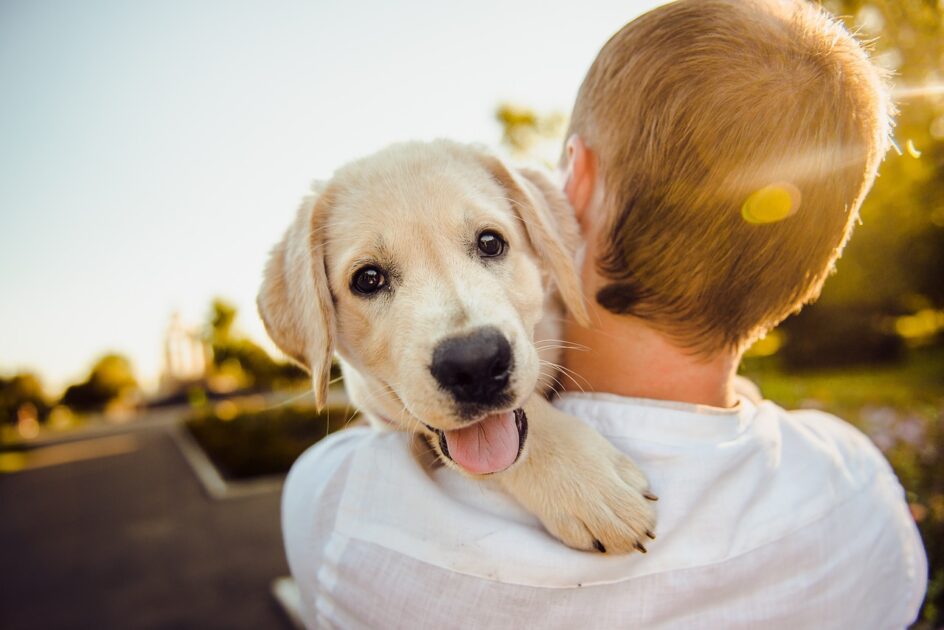 best pet friendly places in india