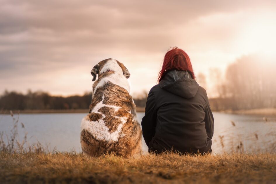 best pet friendly places in india