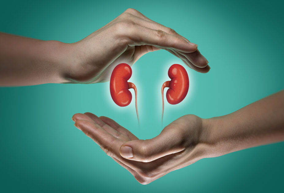 best food for kidney health in hindi