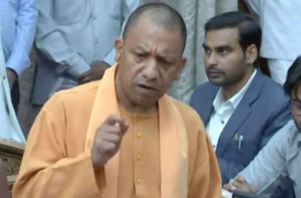 yogi