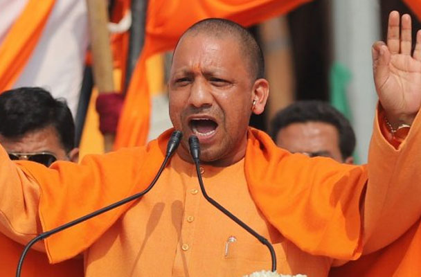 yogi