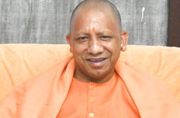 yogi
