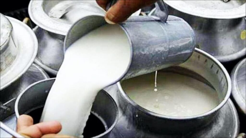 milk rate