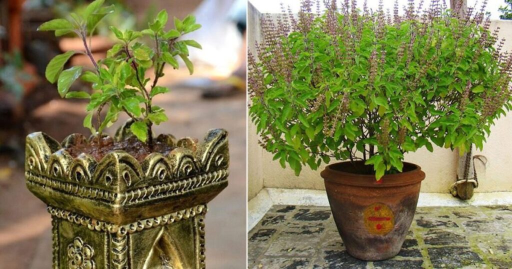 tulsi ke totke in hindi