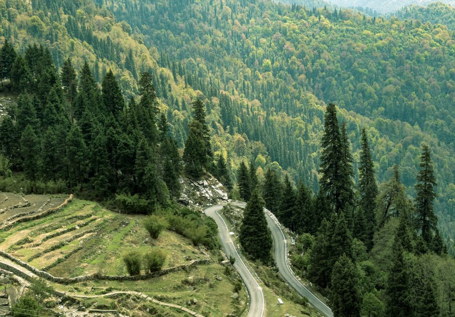 Chaukhutiya Uttarakhand
