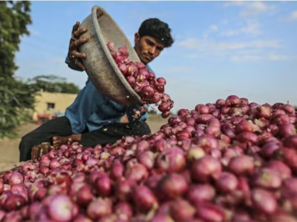 onion price