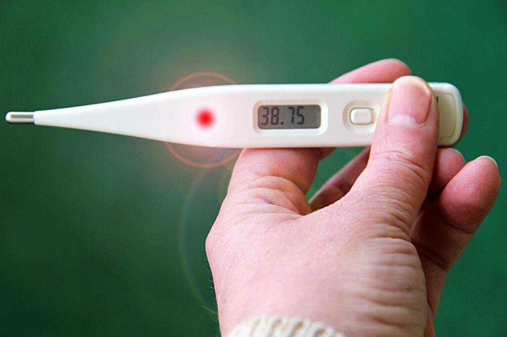 Deadly fever
