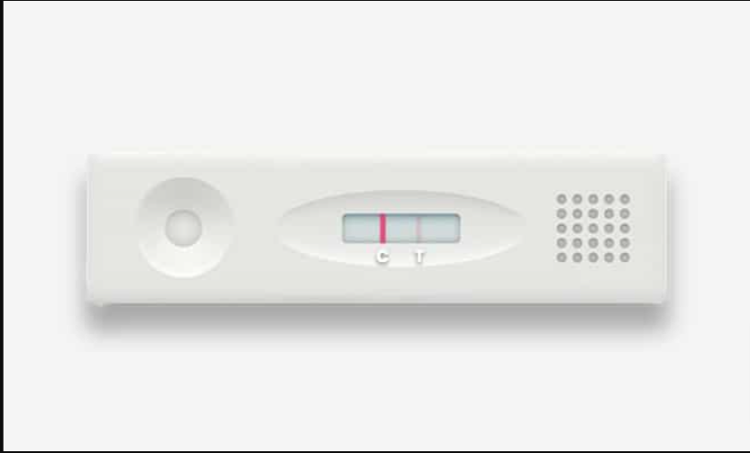 Pregnancy Test Kit