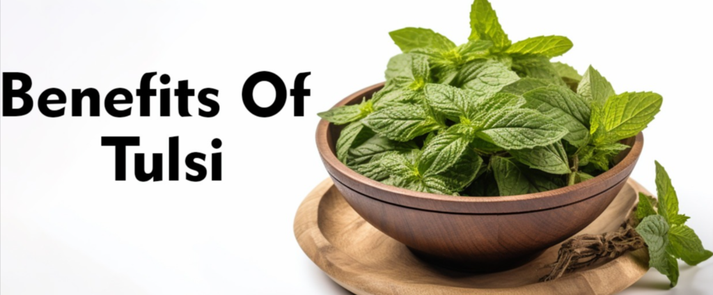 Tulsi Benefits in Hindi