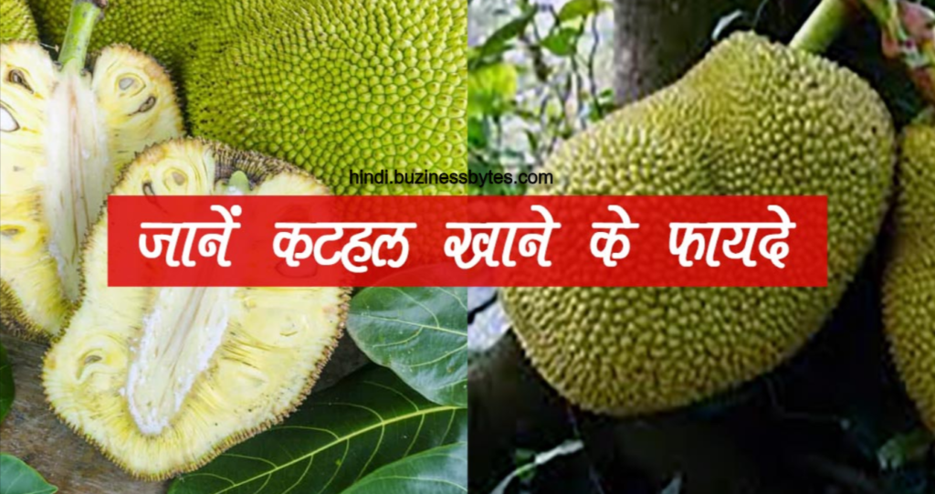 कटहल हिंदी में