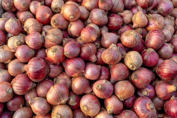 There is a huge difference between government's claims and onion prices