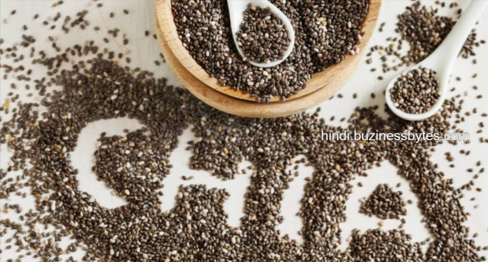 what is chia seeds in hindi