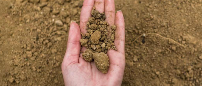 मिट्टी को हिंदी में क्या कहते हैं
