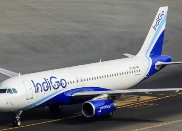 indigo