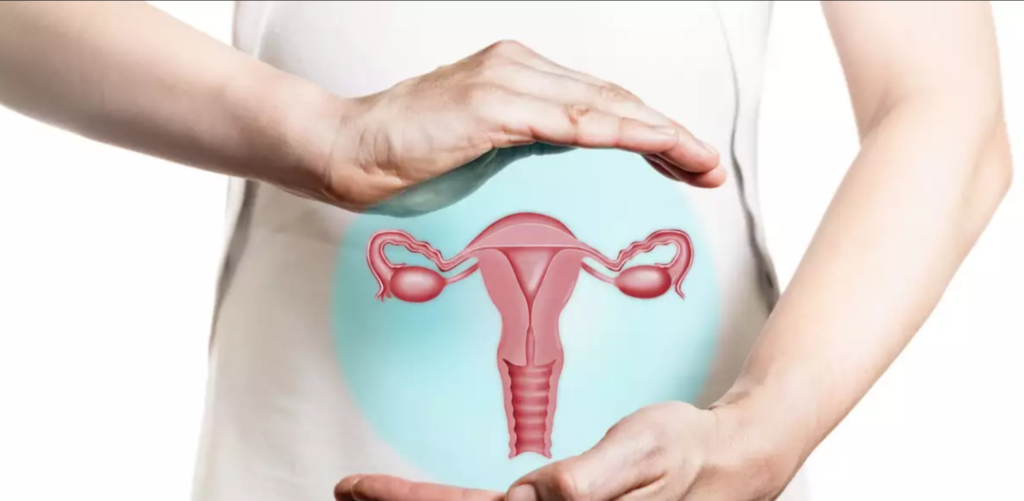 Uterus Meaning in Hindi