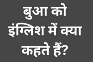 बुआ को इंग्लिश में क्या कहते हैं? बुआ का रिश्ता और उसके पर्याय