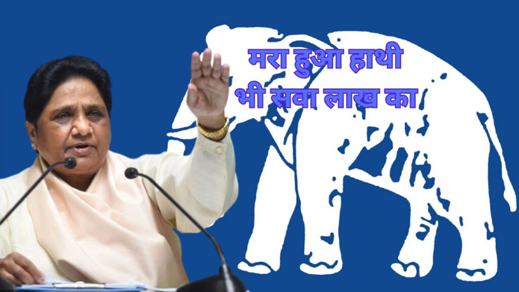 bsp