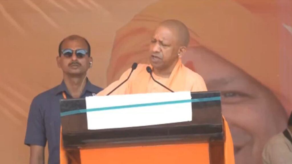yogi