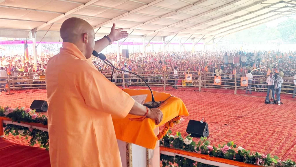 yogi
