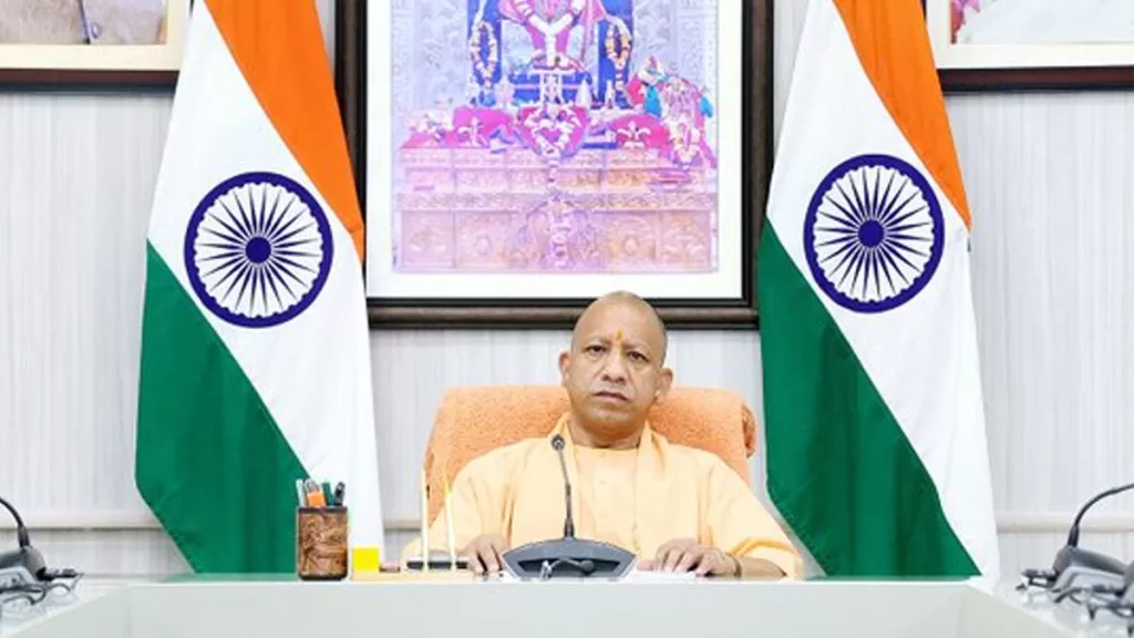 yogi