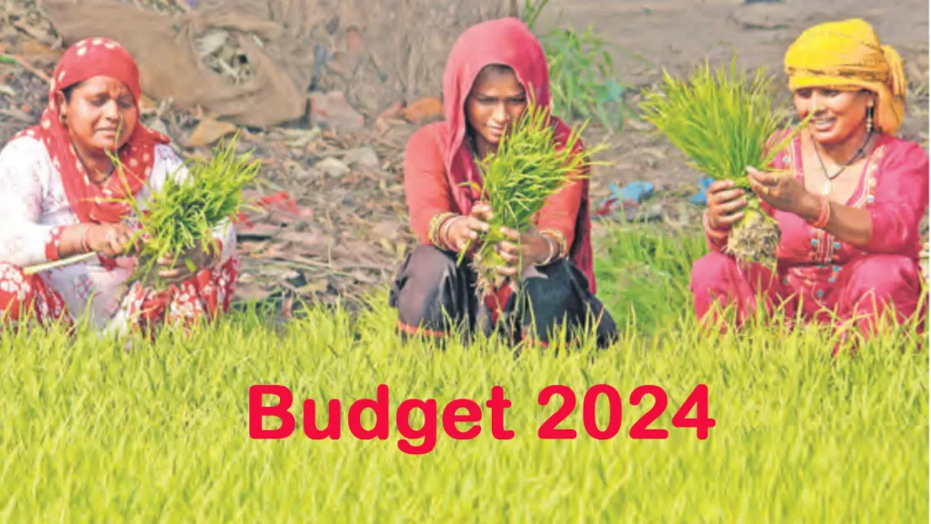 budget