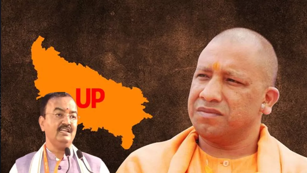 yogi