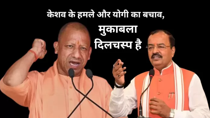 yogi