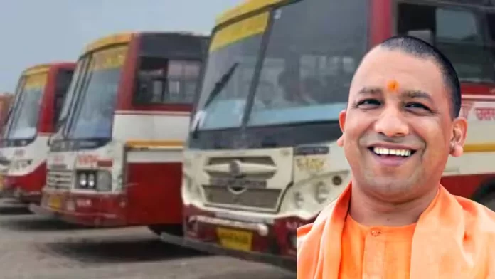 yogi