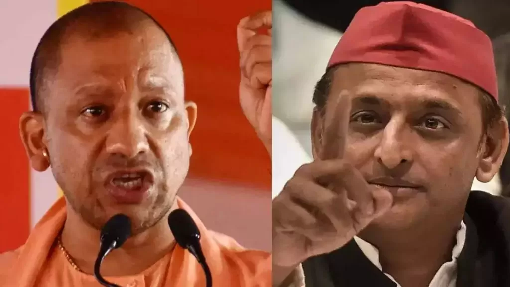 yogi