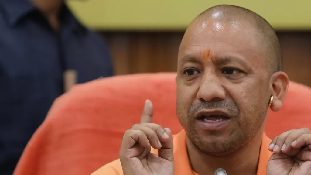 yogi