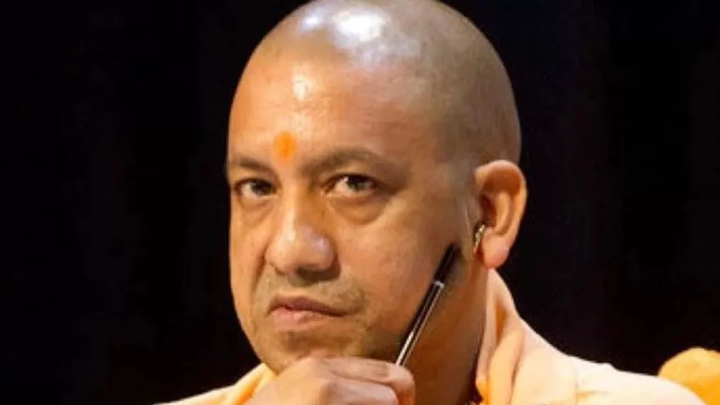 yogi
