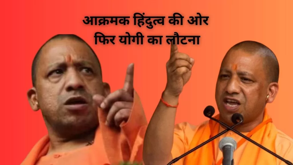 yogi