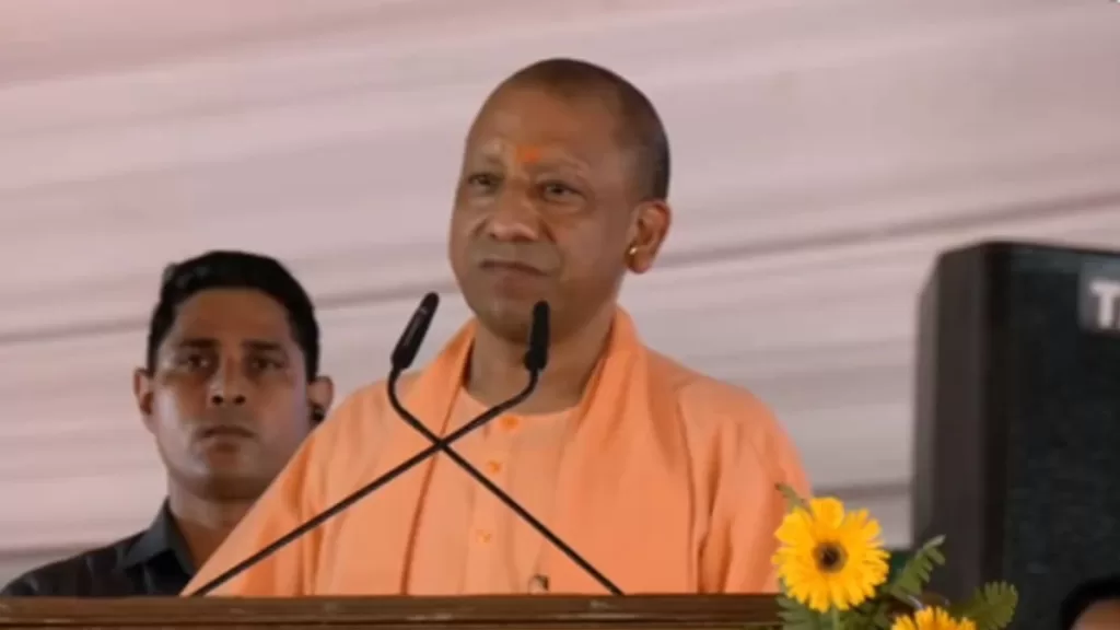 yogi