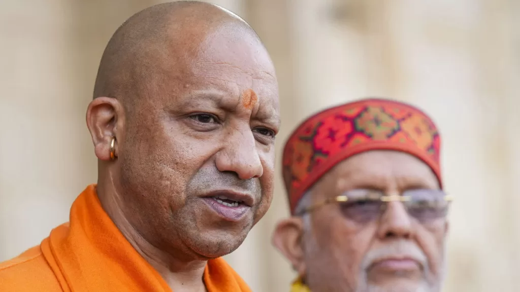 yogi