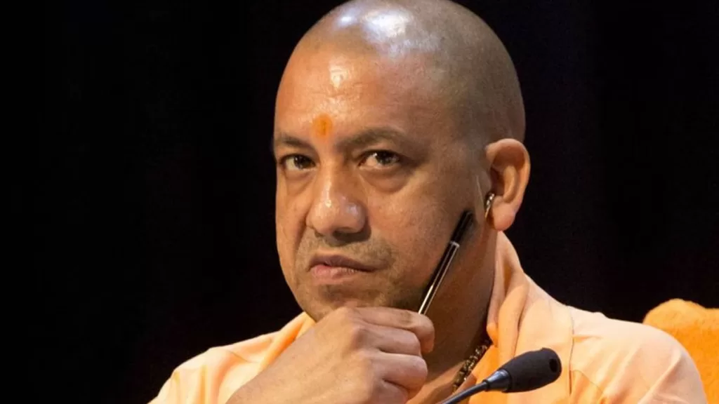 yogi