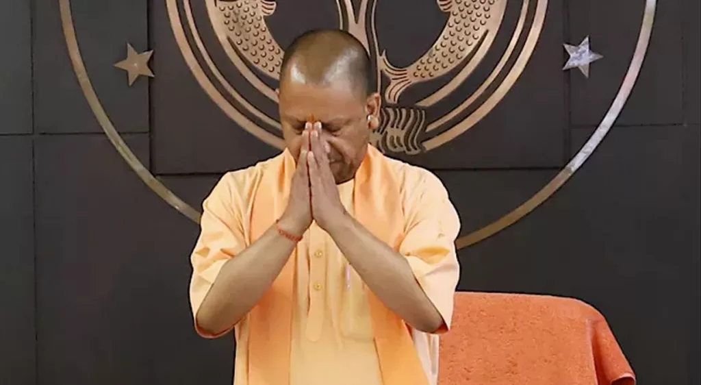 yogi