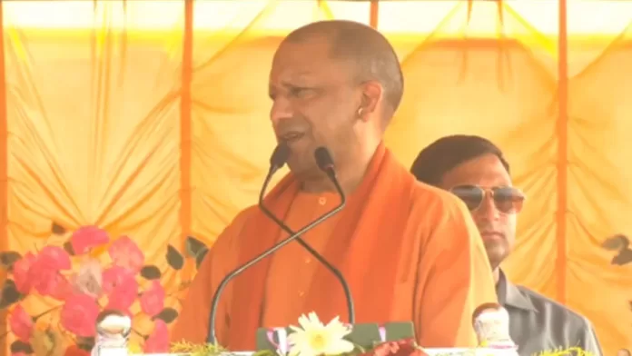 yogi