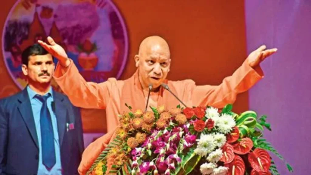 yogi