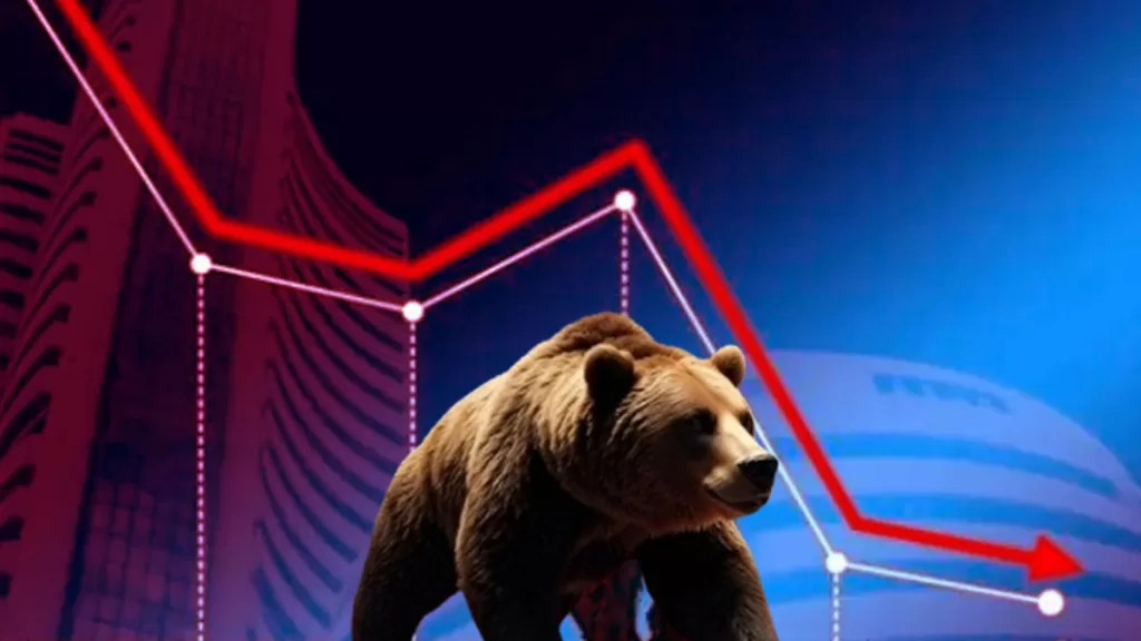 bear