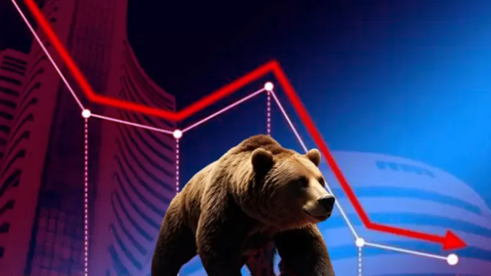 bear