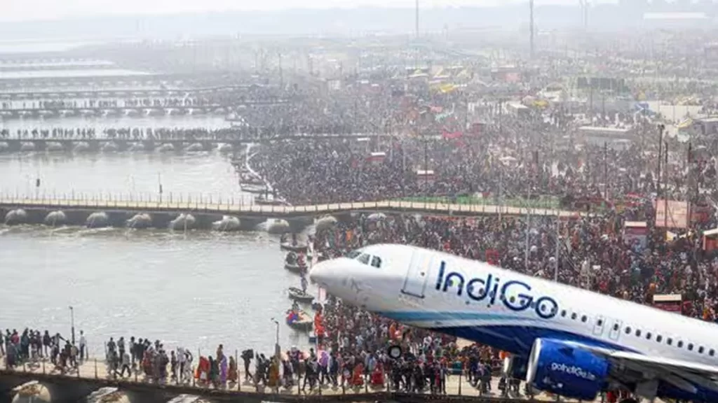 indigo
