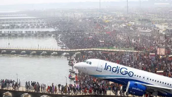 indigo