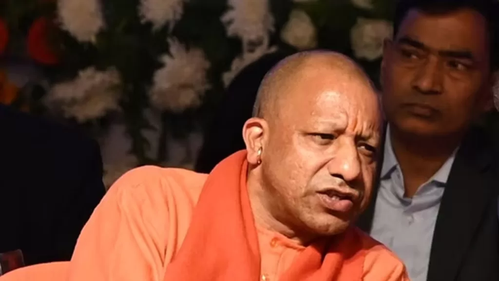 yogi