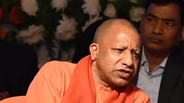 yogi