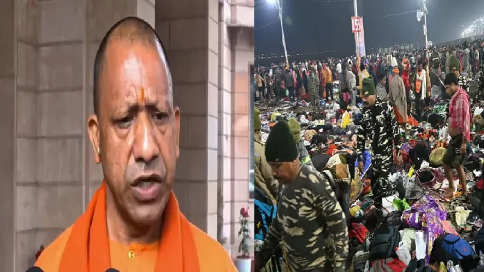 yogi