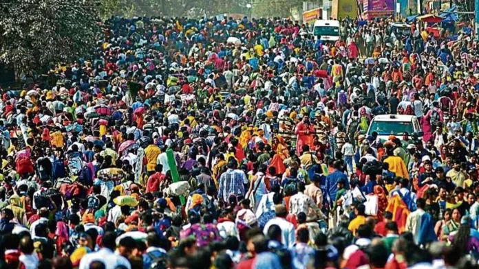 maghi