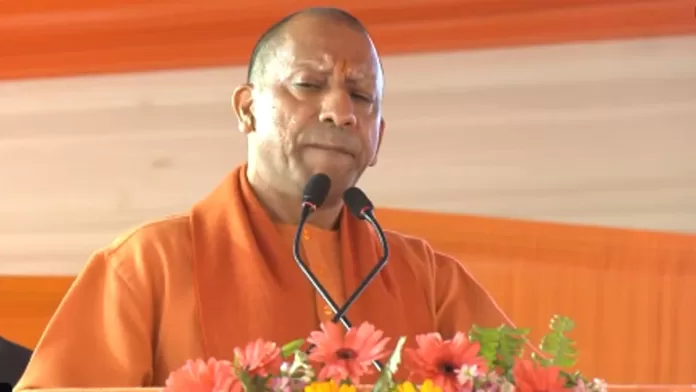 yogi