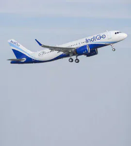 Indigo flights news